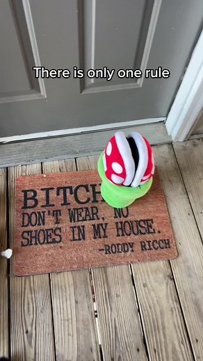 Bitc* dont wear no shoes in my house #mushroomslippers