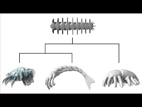 Alien Biospheres: Part 3 - Cladistics and Ecology