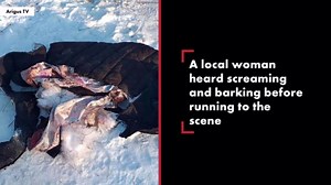 Russian beautician reportedly fights for life after wild dogs tear off her face