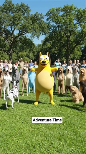 Adventure Time: Dog Dance Flash Mob in the Park #dog #dance #dailyvlog #doglife #adventure #new