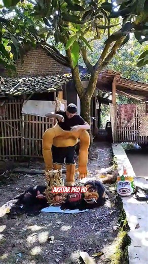 Cara Memakai Kostum Buta Sanga