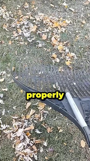 Crazy Leaf Rake Hack🍂