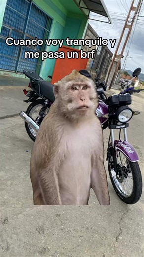 Cuando voy tranquilo y me pasa un BRP – Meme Empire Keeway