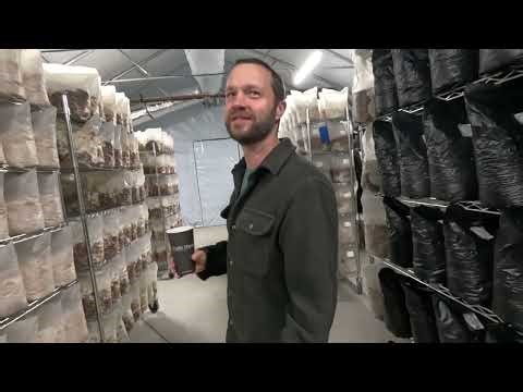Gourmet Mushroom Farm Tour- Adams Mushrooms