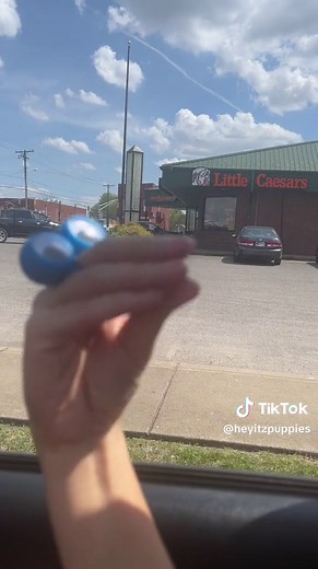 CAR RIDES WITH PUPPIES | heyitzpuppies