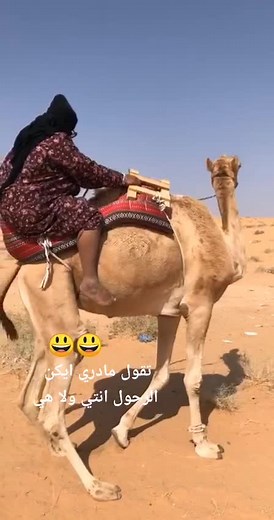 Camel Riding Experience in the Desert