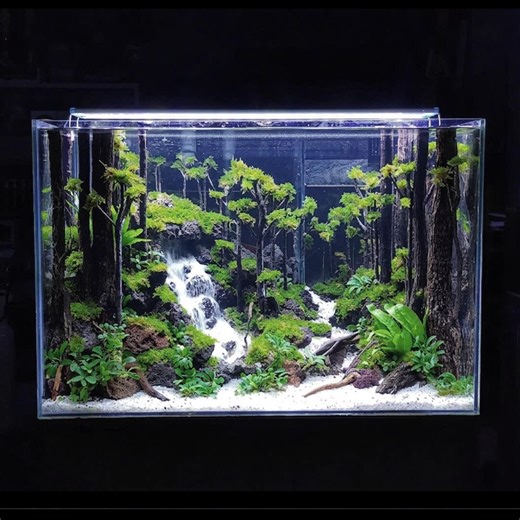 Jungle Aquascape for Aquarium, Terrarium, Paludarium Decor - Etsy