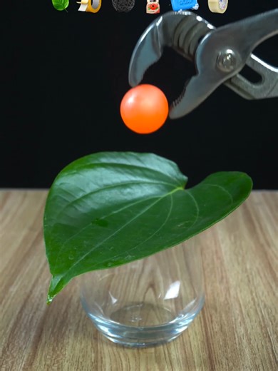 Red Hot Ball Experiment on Leaf: Fascinating Results