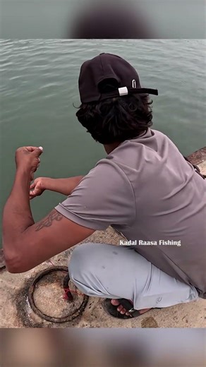 Harbour Snapper Fishing with Live Prawn Bait | Handline Fishing Action #fishing #handfish