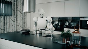 Halodi Robotics - Torgeir Holm