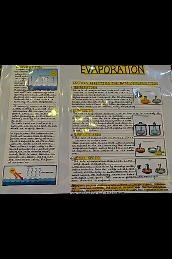 Evaporation Chart| Class 9 Science AIL Activity| Easy School Science Project| Project on Evaporation
