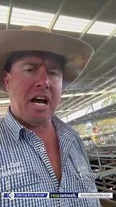 Inverell Cattle Market Report 12/05/2026