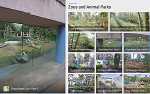 Google's Street View fun continues with virtual visits to zoos & animal parks