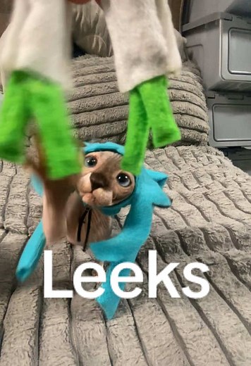 Catnip Leek Cosplay Inspiration with Sphynx Cats