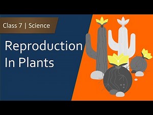 Reproduction in plants | NCERT Class 7 Science