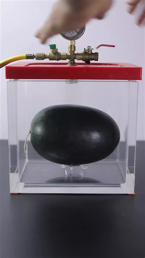 Watermelon Experiments in a Vacuum Chamber