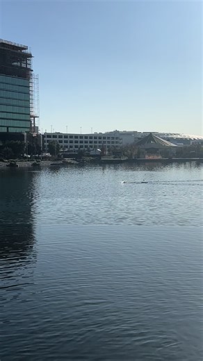 Rescue Efforts at Sofi Stadium