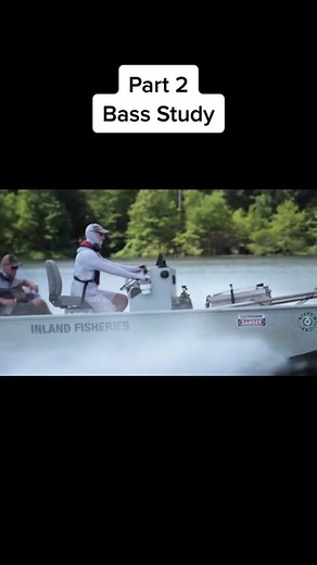 Part 2 of Bass study #fishin #bassfishing #bassstudent #bass #bassmaster #fishing #lunker #jordanleefishing #jacobwheeler