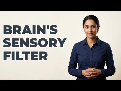How Does The Thalamus Filter Sensory Information?