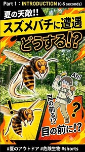 正しい対処法を知ろう！🐝家族でキャンプ！危険な場面！#スズメバチ #対処法 #逃げる #逃げるは恥だが役に立つ