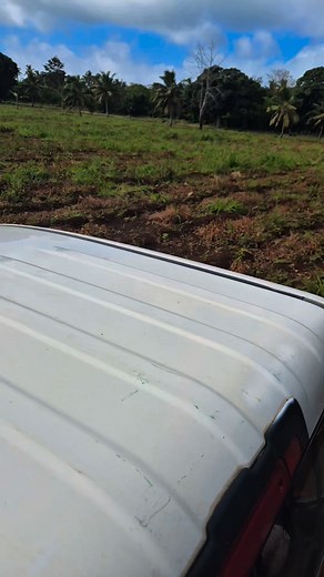 9.8K views · 118 reactions | Aloha Likio on Reels | Facebook