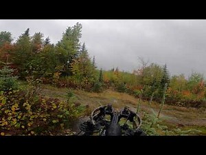 Moose crossbow hunt 2021 - calling in and harvesting a bull