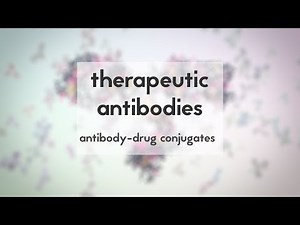 Therapeutic antibodies (Part 3): antibody-drug conjugates