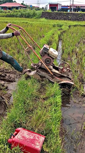 Traktor Sawah Menurunkan Hasil Pertanian