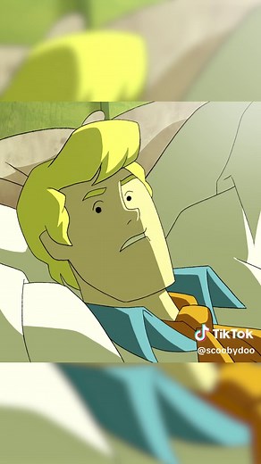 Fred and Shaggy's Roommate Dreams