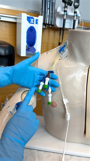 Kristine Tuttle on Instagram: "What Each Port on a Triple Lumen Line Is For:⁠ ⁠ ⚪️ Proximal = Primary access (meds, IV fluids, blood)⁠ 🔵 Medial = Middle meds (TPN, lipids, IV fluids)⁠ 🟤 Distal = For blood draws + CVP monitoring⁠ ⁠ Always be familiar with the products used in the facility where you practice. Port colors may vary per manufacturer! ⁠ ⁠ #fundamentalsofnursing #PICCline #NursingSchoolTips #CentralLineCare #TripleLumen #NCLEXReady #NurseInTheMaking #studentnurse"