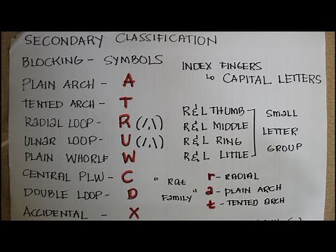 SECONDARY CLASIFICATION//FINGERPRINT CLASSIFICATION FORMULA// PERSONAL IDENTIFICATION