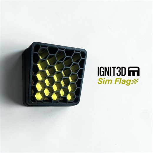 Simflag / Led-flagge - Simhub - Etsy