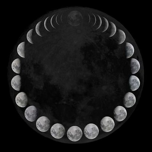 Dark Moon Versus New Moon: Are They the Same Thing?