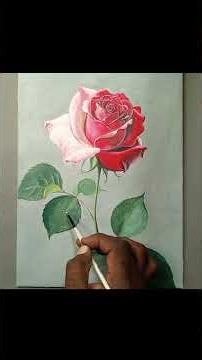 Beautiful Rose Oil Painting