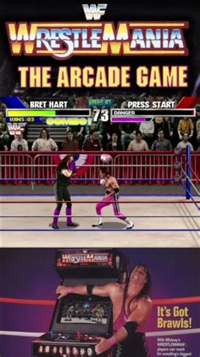12 HIT COMBO – Bret Hart vs Undertaker 💀 #shorts