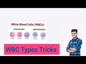 WBC Types & Easy Memory Tricks 📘✅