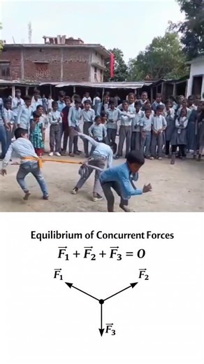 Biswajit Sir on Instagram: "Zero Resultant, 100% Effort #physicsmemes #funny #viralvideos #reelstrending #sarcastichumor"