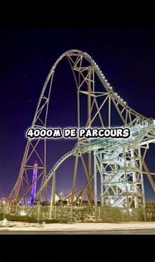 Falcon’s Flight￼