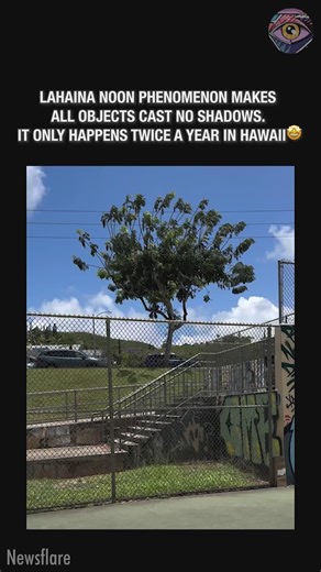 32K views · 168 reactions | Super rare shadowless phenomenon | Bright Side | Facebook