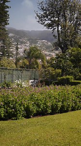 51K views · 1.5K reactions | As roseiras estão lindas. Apesar do vento, com o sol que temos tido, abriram, hoje, cheias de cor e aroma, como só as nossas flores têm. A natureza é dos nossos melhores presentes. | Miguel Albuquerque | Facebook