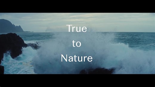 69 reactions · 12 shares | See the world through the eyes of an artist, in this free exhibition | The Fitzwilliam Museum, Cambridge | Facebook
