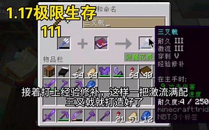 【我的世界】Java版1.17极限生存 111
