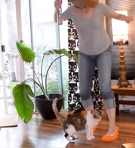 22K views · 129 reactions | every home must-have shop now:...