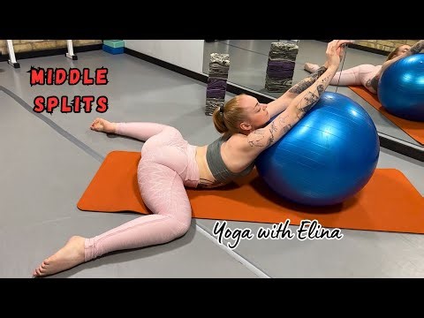 Hamstring Stretch & Warm-Up | Adductor & Biceps Femoris Mobility Flow