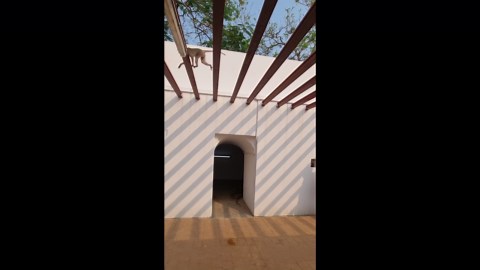 Monkey pees on photographer capturing student’s graduation photoshoot