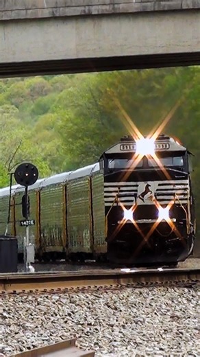 A pair of Norfolk Southern SD60E locomotives haul an autorack train through Thomspontown, Pennsylvania in May of 2018. The Pennsylvania Railroad signals along this line have since been removed. ➡️ Follow @trainiacproductions for more original train content! #trainiac #railfan #trainspotting #trains #railways #fyp #railroad #train #pennsylvania | Trainiac Productions