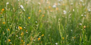 Weekly Digest 17/2021