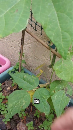 The update no one asked for…