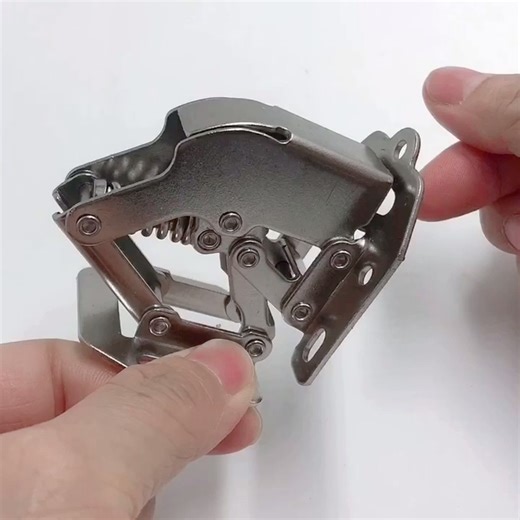 5 Inch Frog Bridge Concealed Soft Close Hinge 90 Degree Hydraulic for Kitchen Cabinets for School Hospital & Bedroom Use