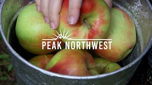 How to spend a day exploring the Hood River Fruit Loop: Peak Northwest video